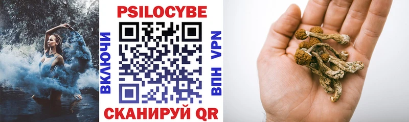 дарк нет телеграм  Хилок  Псилоцибиновые грибы мухоморы 